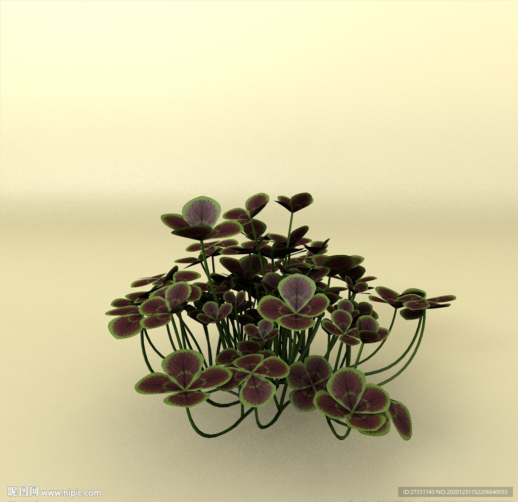 花草模型 植物模型 花卉模型