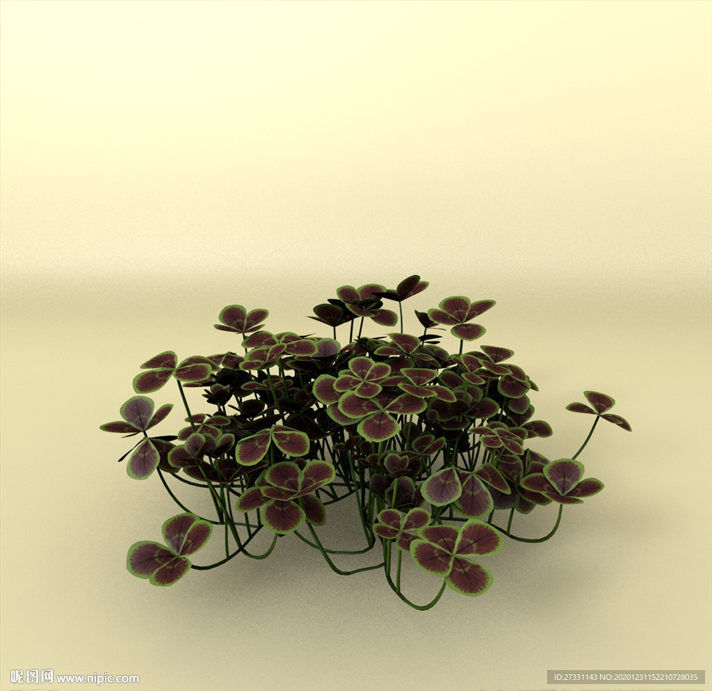 花草模型 植物模型 花卉模型