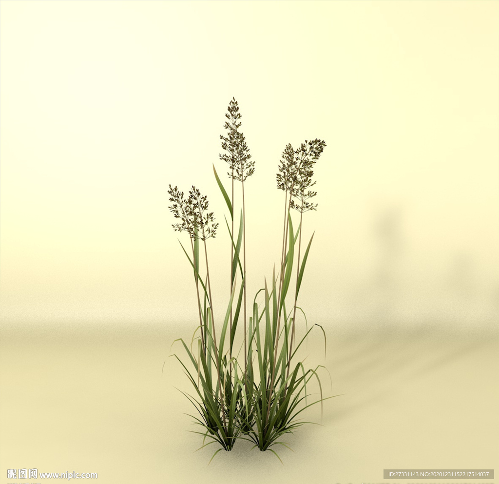 花草模型 植物模型 花卉模型