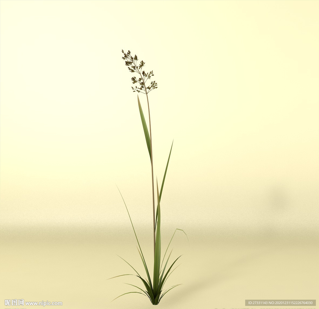 花草模型 植物模型 花卉模型