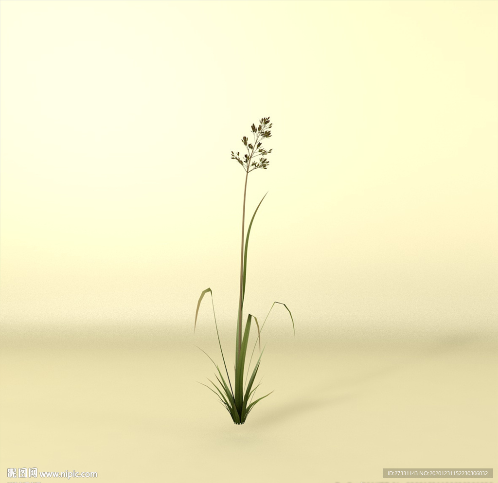 花草模型 植物模型 花卉模型