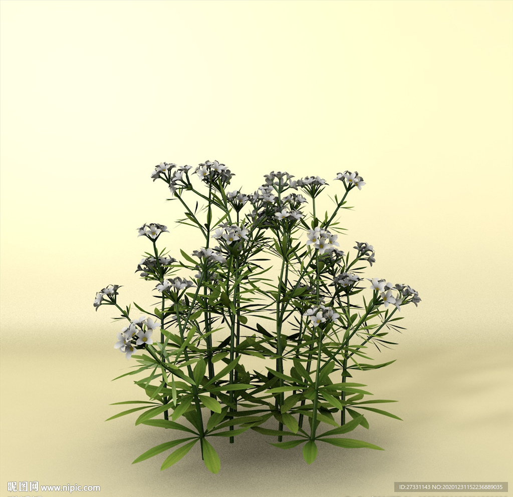 花草模型 植物模型 花卉模型
