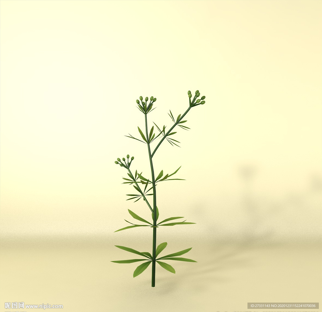 花草模型 植物模型 花卉模型