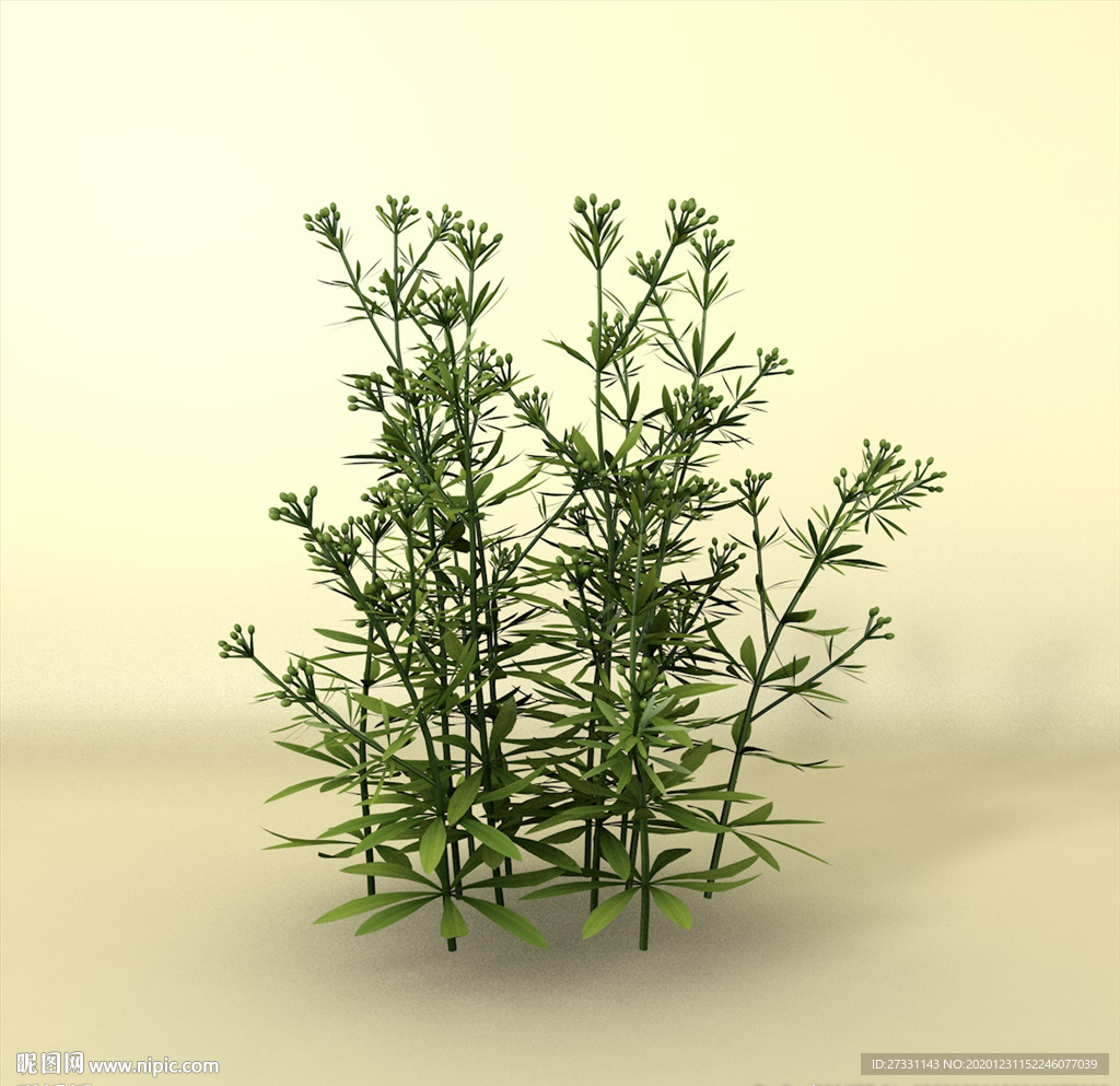花草模型 植物模型 花卉模型