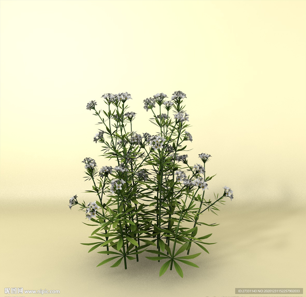 花草模型 植物模型 花卉模型