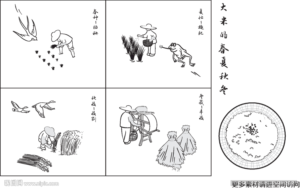 大米 春种秋收 插画