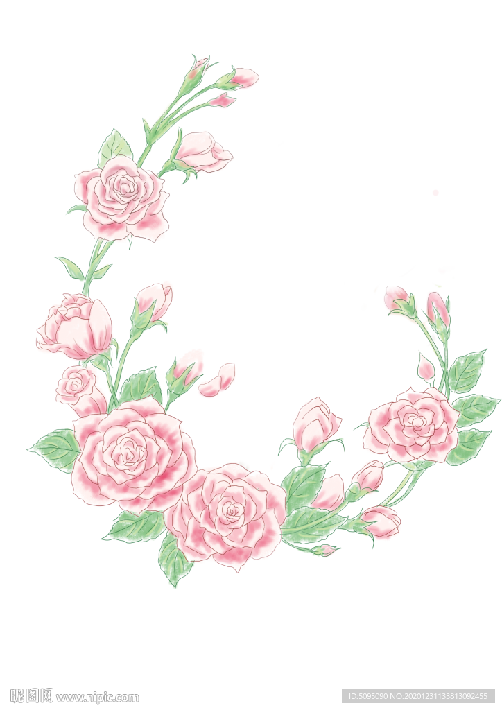 玫瑰、植物、插画