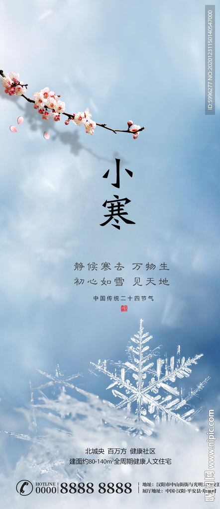 小寒微信稿