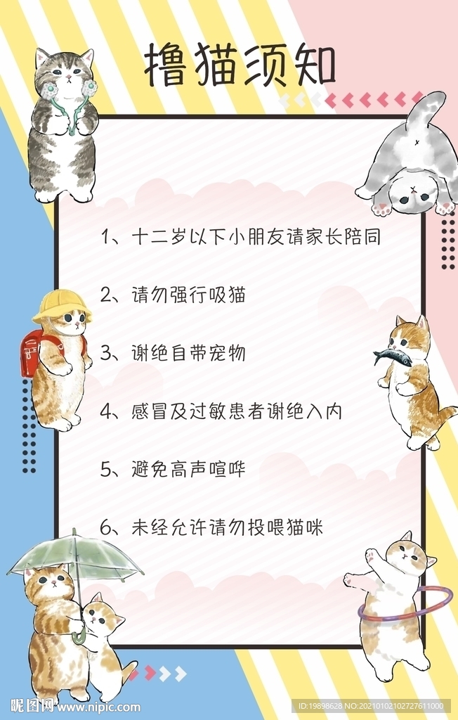 撸猫须知