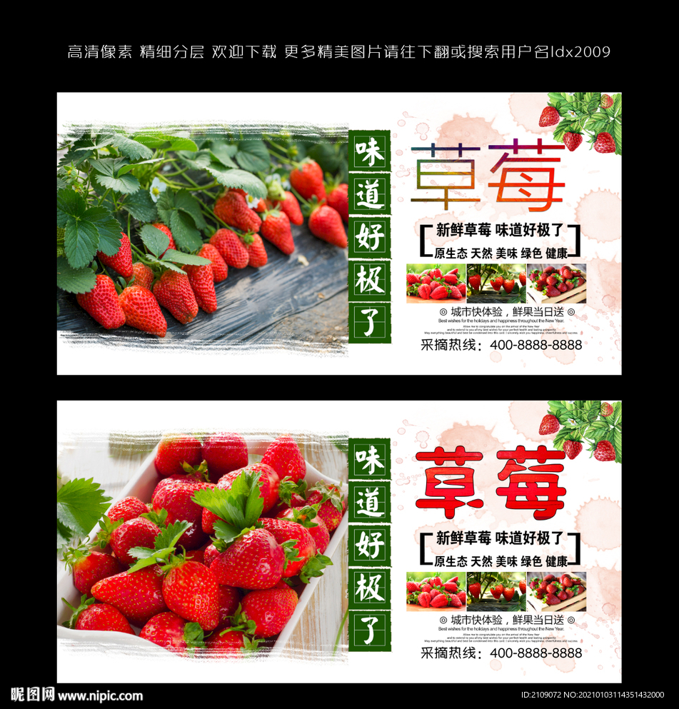 草莓