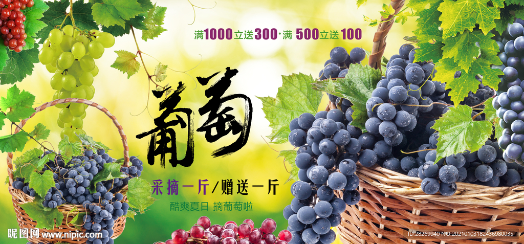 葡萄