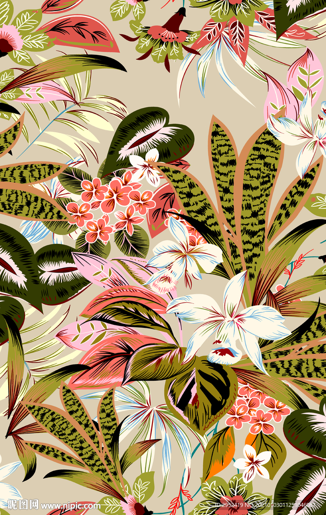 热带元素三比一