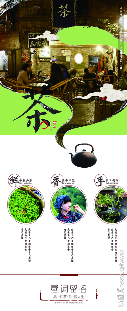 新茶上市 欢迎品鉴 新茶上市海