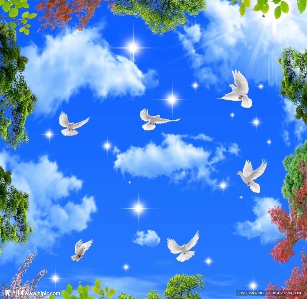 蓝天白云鸽子