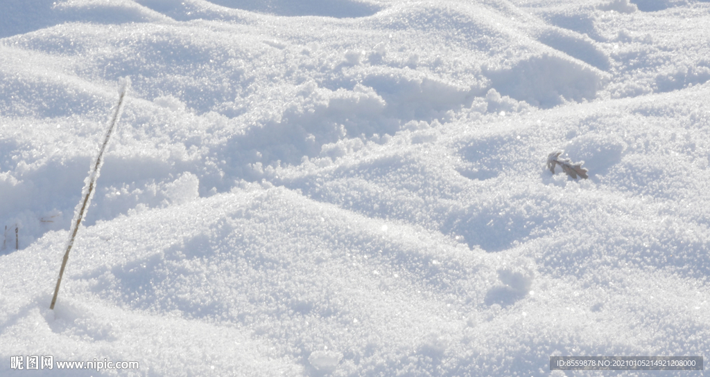 雪地冬天高清视频