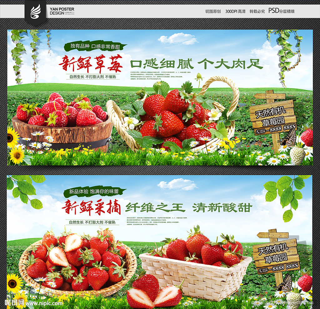 草莓