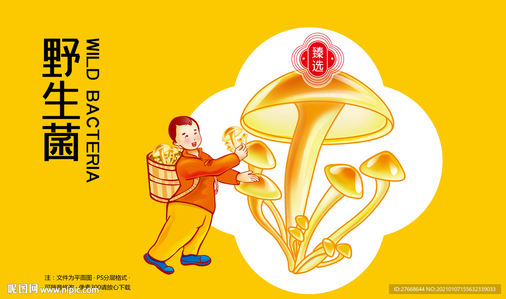 野生菌
