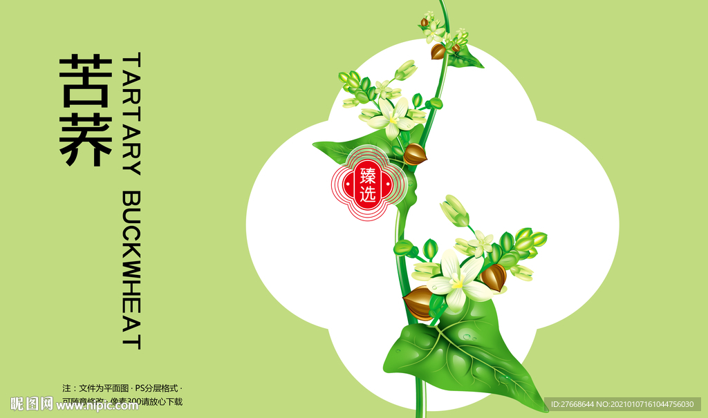 苦荞