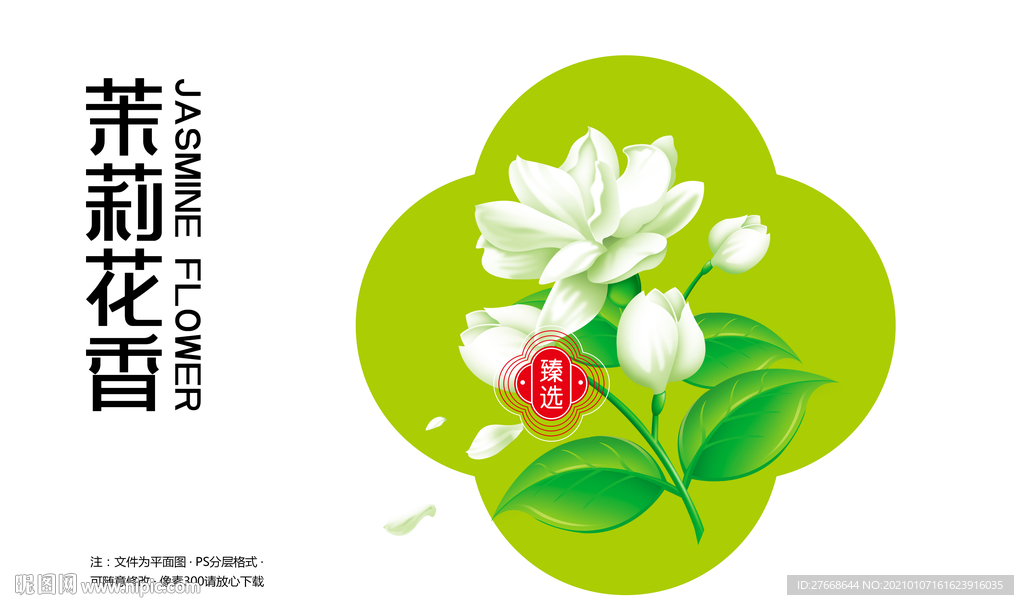 茉莉花