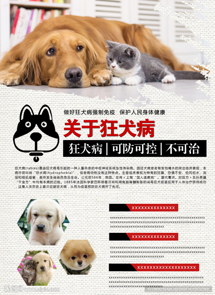 狂犬病    预防