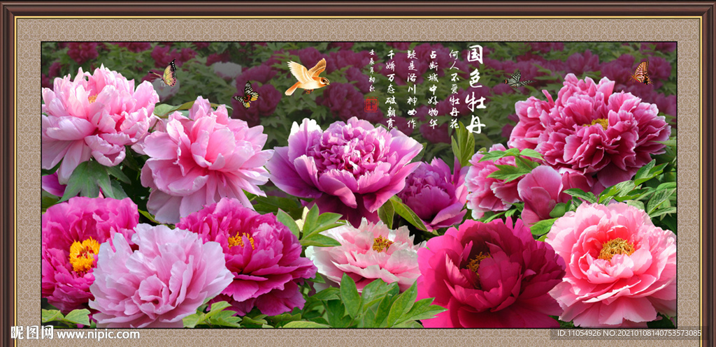 牡丹花