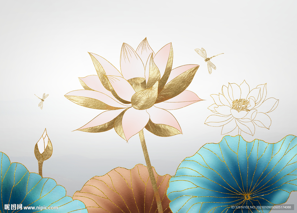 荷花