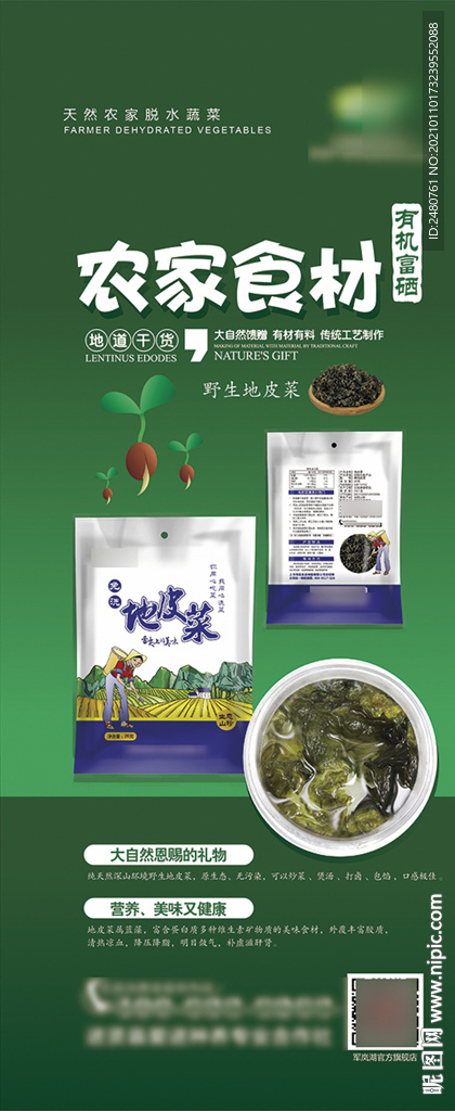美食展架 地皮菜海报