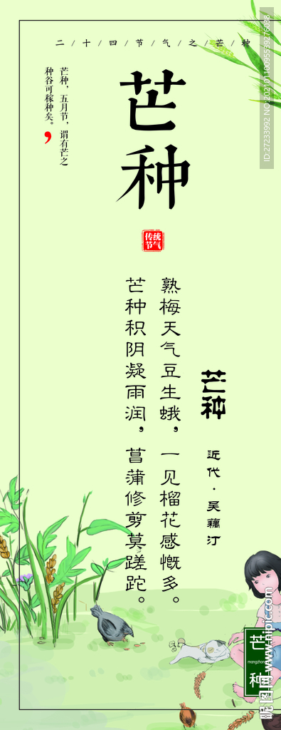 传统24节气之芒种