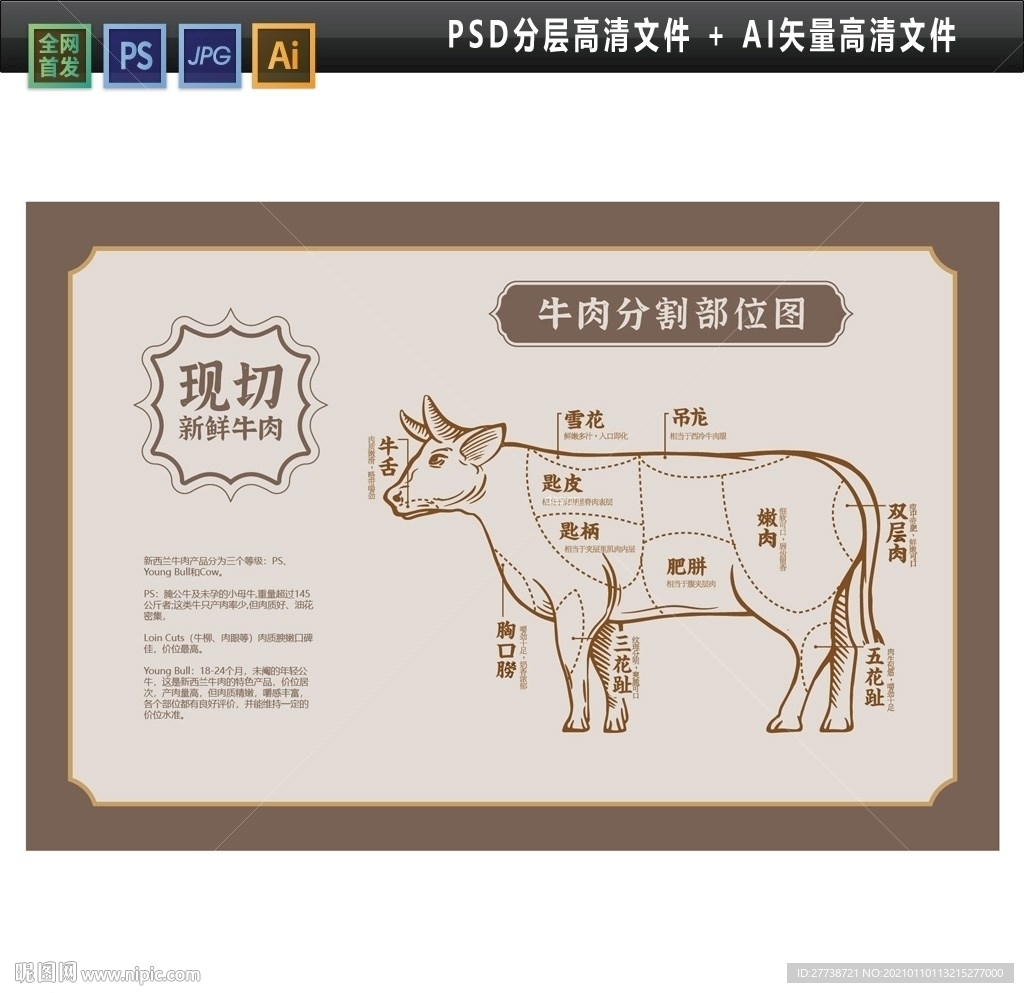 牛肉分割图 高档牛肉分解图图片