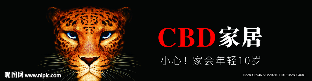 CBD家居