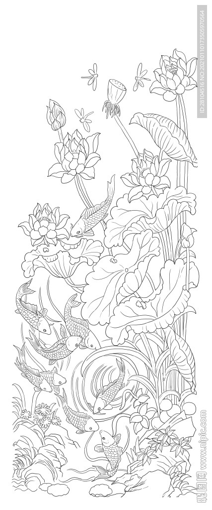 荷花鱼