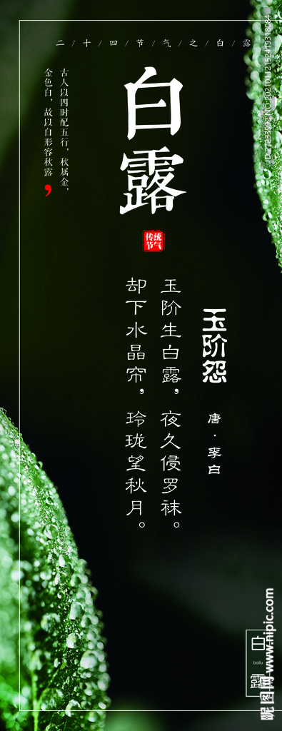 传统24节气之白露