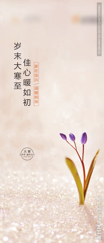 大寒