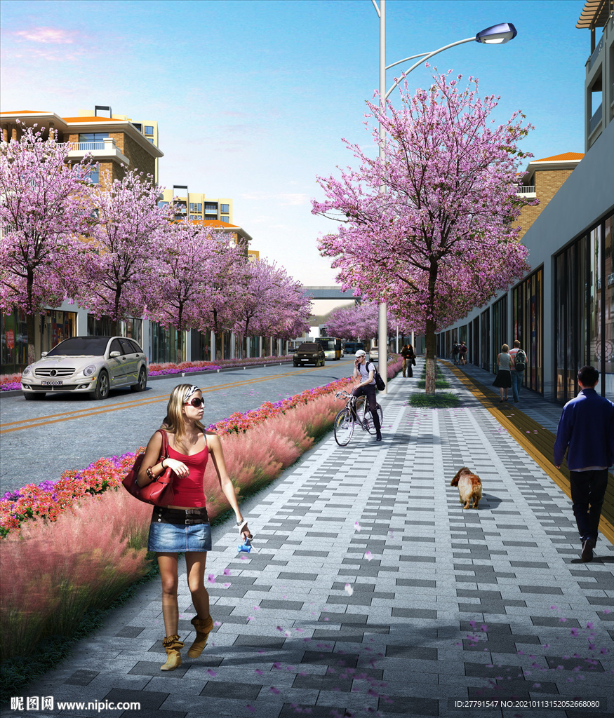 樱花洋紫荆道路绿化景观设计