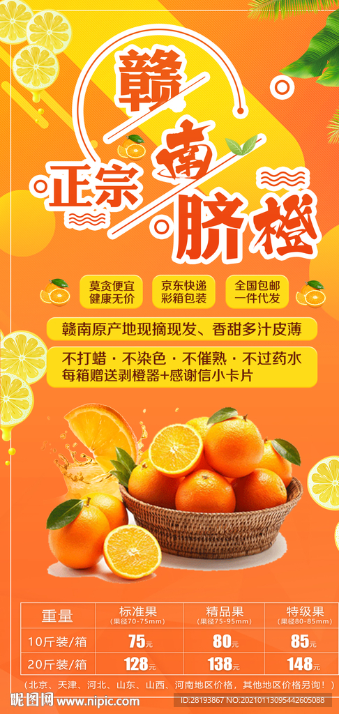 橙子采摘海报