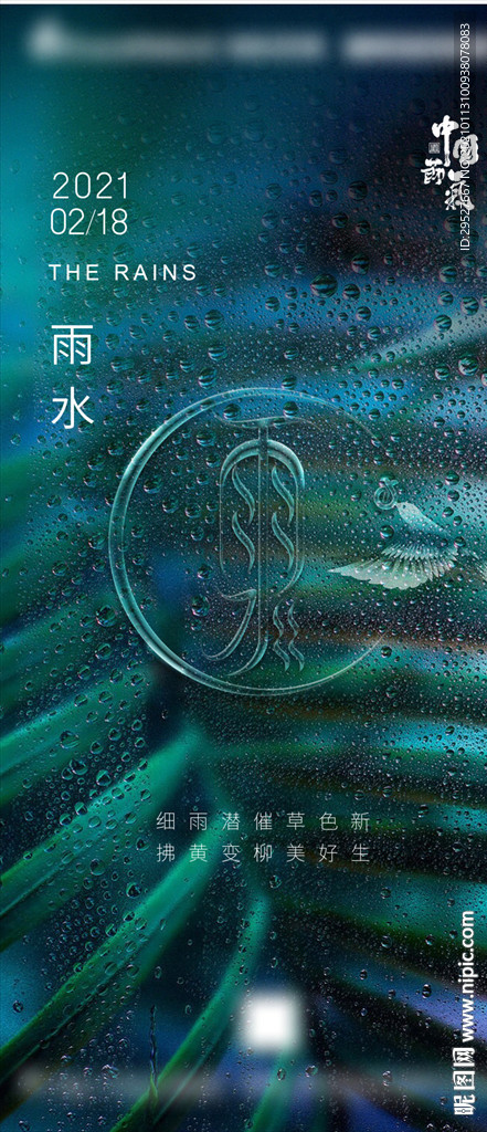雨水 二十四节气 传统节气海报
