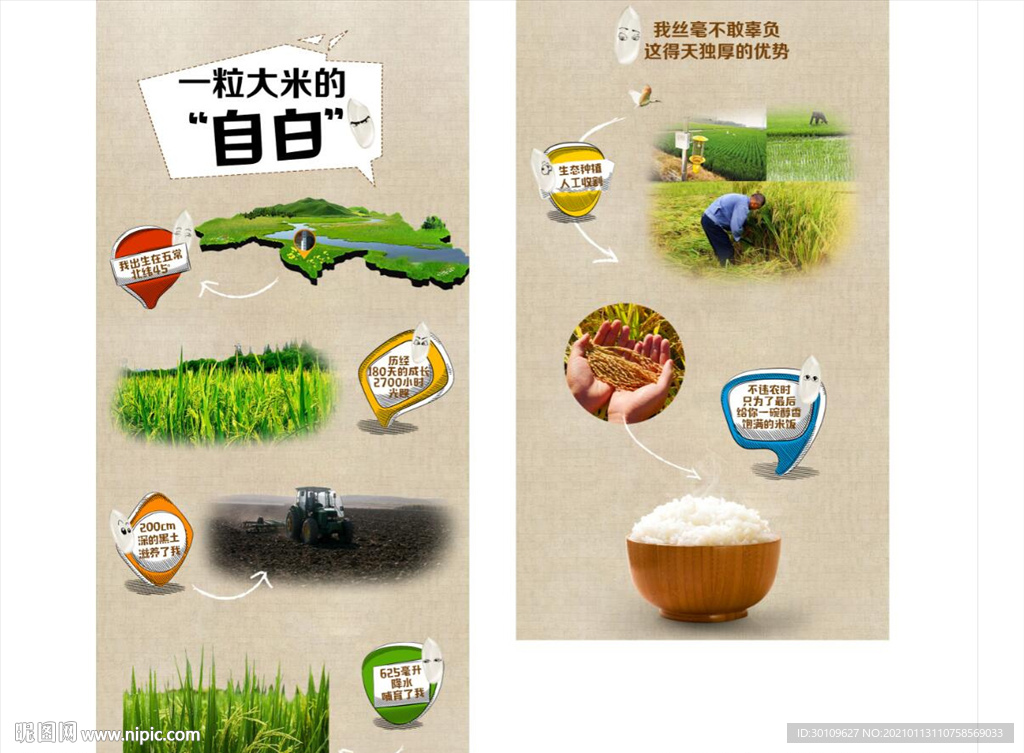 稻花香详情页
