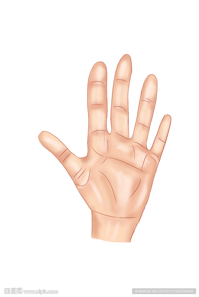 手掌插画