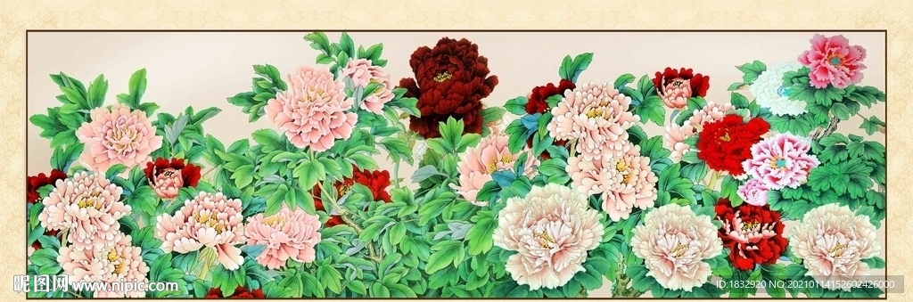 牡丹