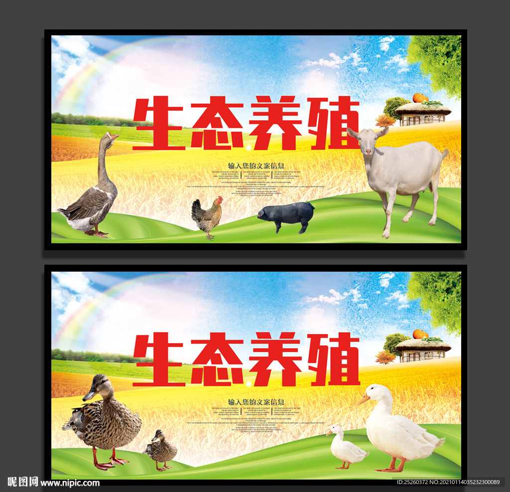 生态养殖