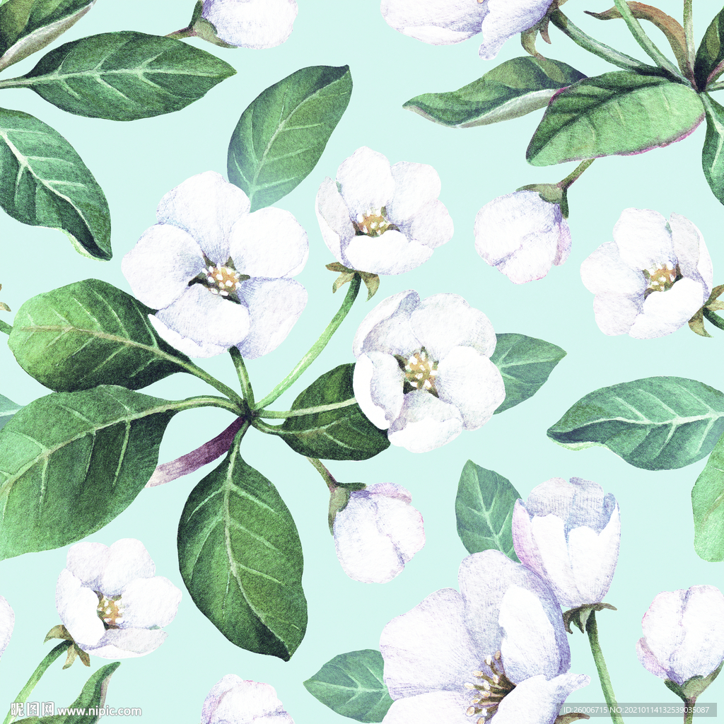 小百花