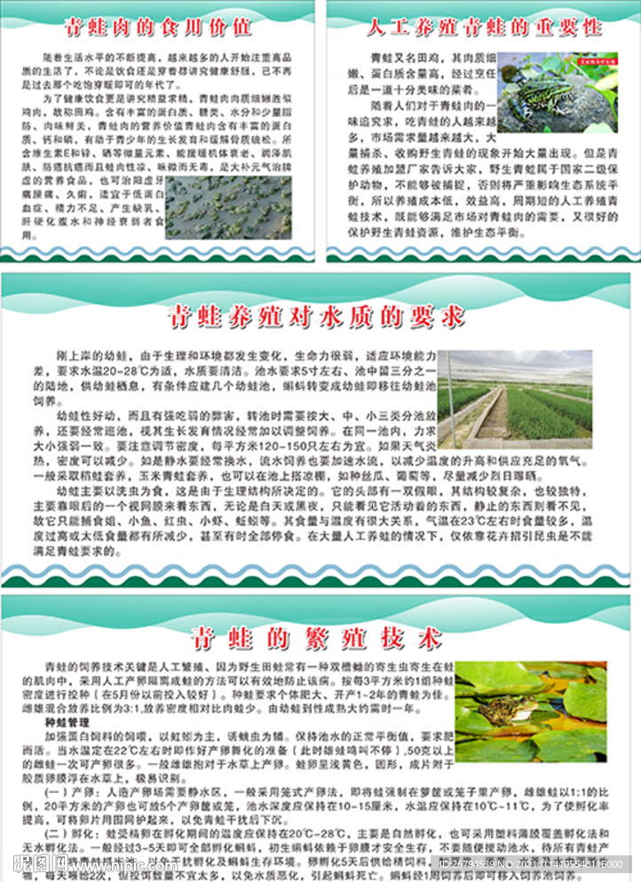 养殖基地 青蛙制度牌