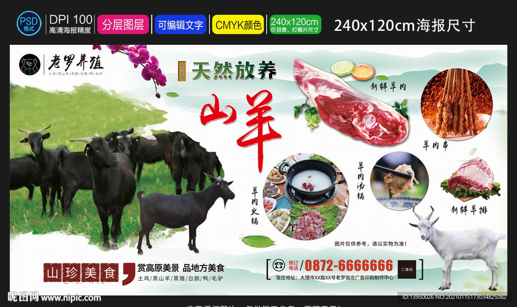 黑山羊 山羊养殖 羊肉火锅