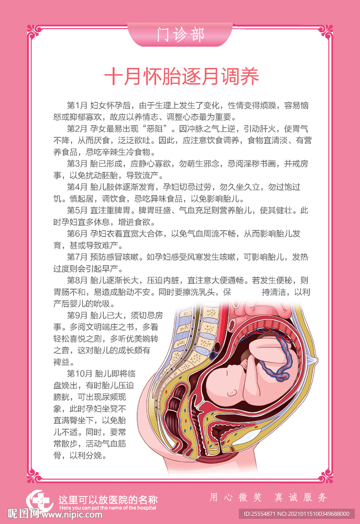 妊娠子宫解剖