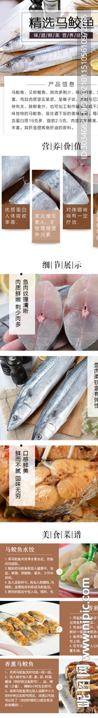 马鲛鱼详情页面设计图