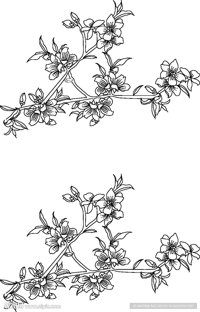 花树 矢量图