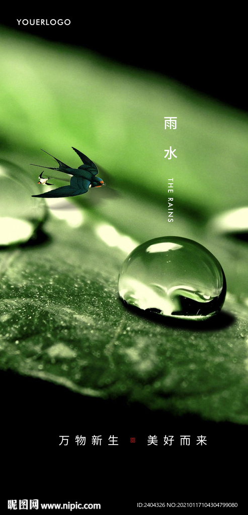 雨水节气海报