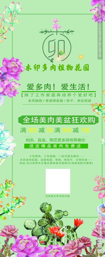多肉植物