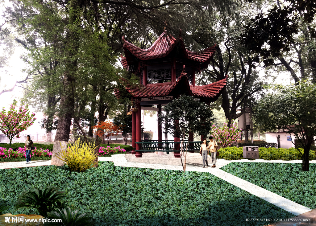 校园玉龙草景观设计效果图
