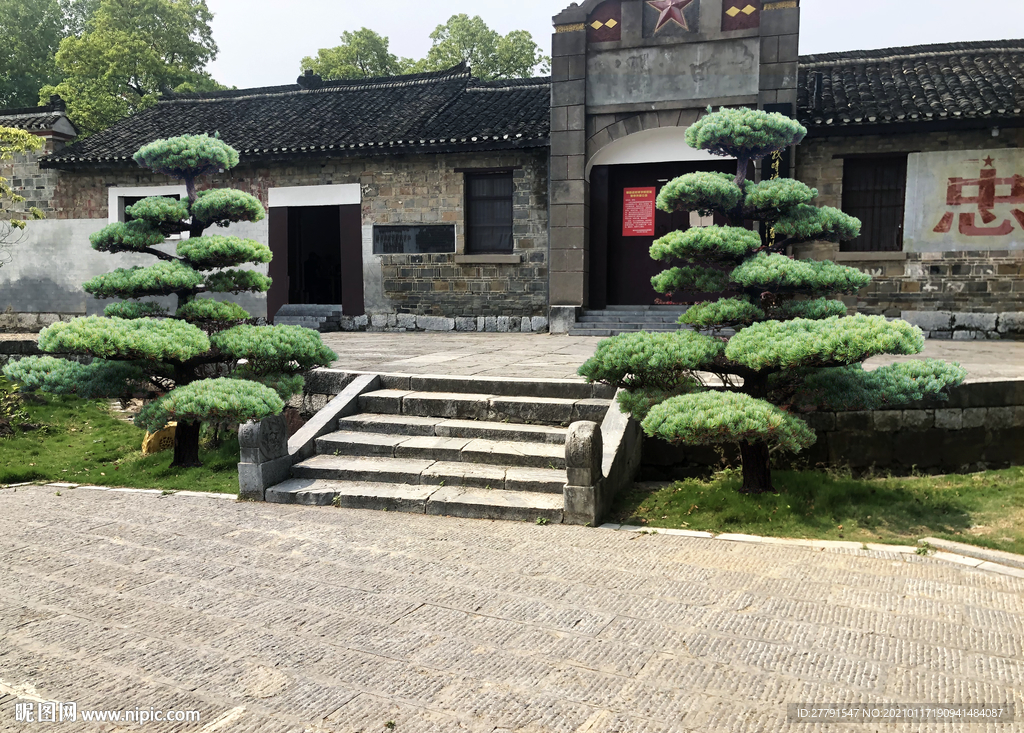 罗汉松对景设计效果图